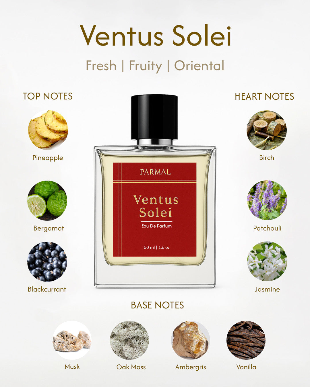 Ventus Solei Unisex Perfume EDP | Fresh, Fruity, woody